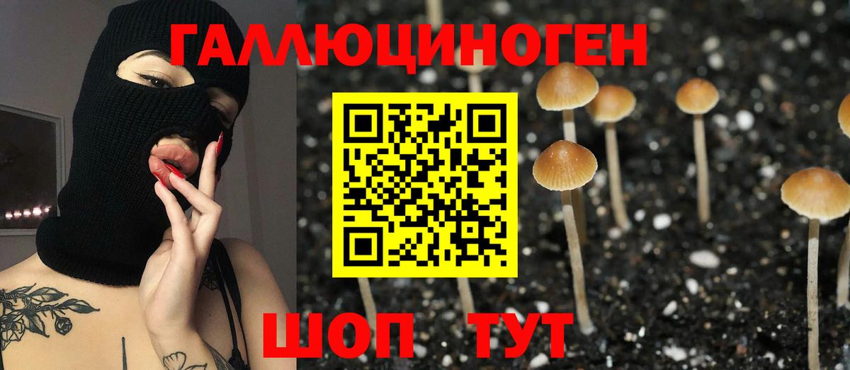 Псилоцибиновые грибы Psilocybine cubensis  наркота  Кызыл  Вход с VPN 
